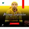 Mshayi Wobhushu Visitor - Uyisikhebereshe - Single